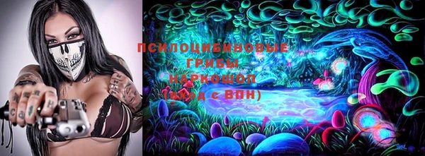 дмт Елабуга