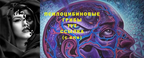 дмт Елабуга