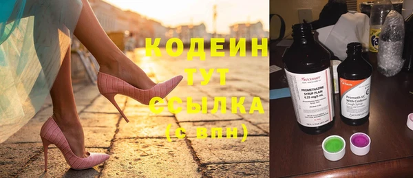 дмт Елабуга