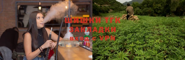 jwh Ельня